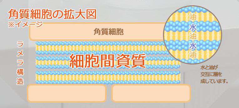 【新アイクリーム登場!!】リディアルが選ばれる理由|持続的保湿を叶えるエイジングケア